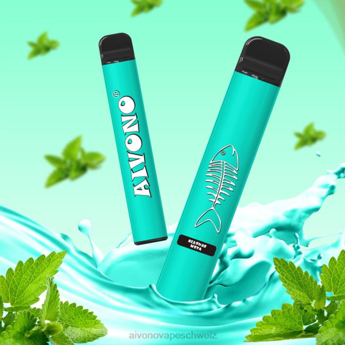 Aivono AIM FISHBONE 600 kühle Minze - 0640278 Aivono Vape Schweiz